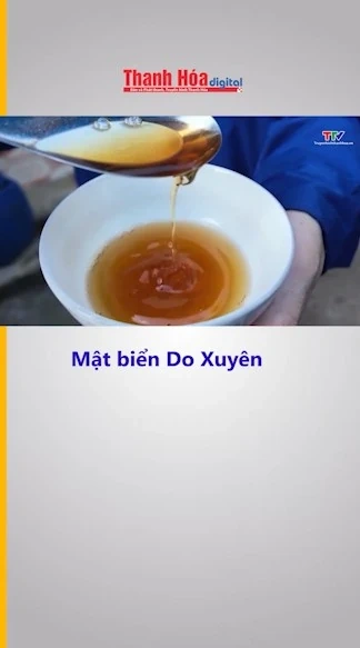 Mật biển Do Xuyên