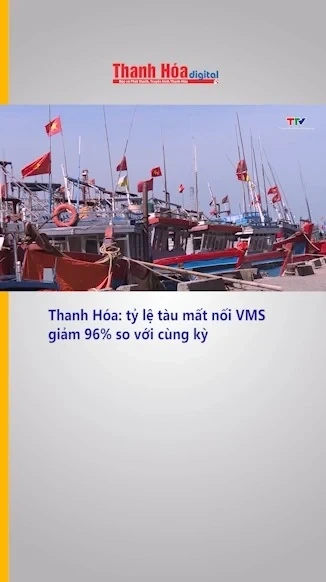 Thanh Hóa: tỷ lệ tàu mất nối VMS giảm 96% so với cùng kỳ