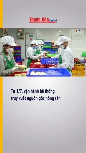 Từ 1/7, vận hành hệ thống truy xuất nguồn gốc nông sản