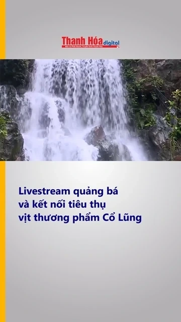 Đồng Quan thức giấc giữa đại ngàn