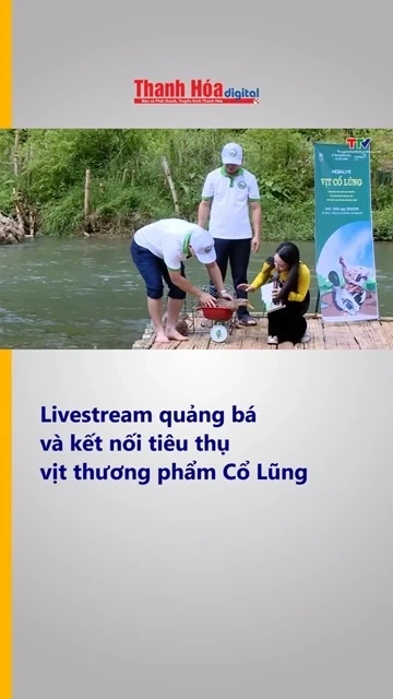 Livestream quảng bá và kết nối tiêu thụ vịt thương phẩm Cổ Lũng trên các nền tảng mạng xã hội