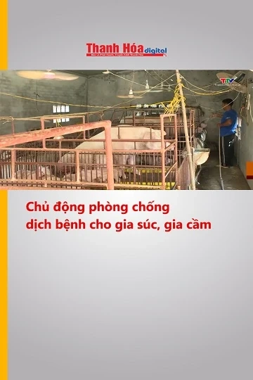 Chủ động phòng chống dịch bệnh cho gia súc, gia cầm