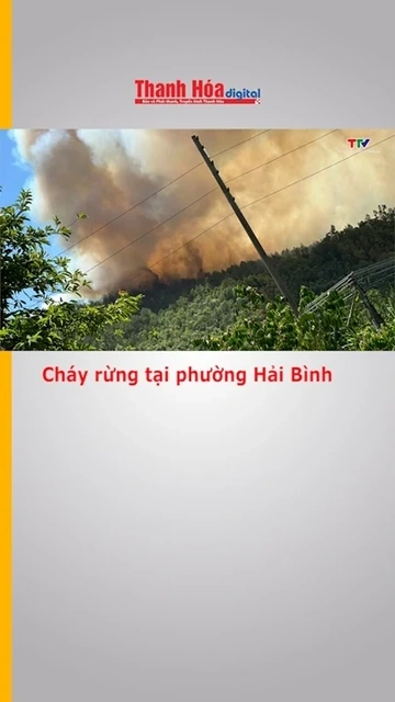 Cháy rừng tại phường Hải Bình
