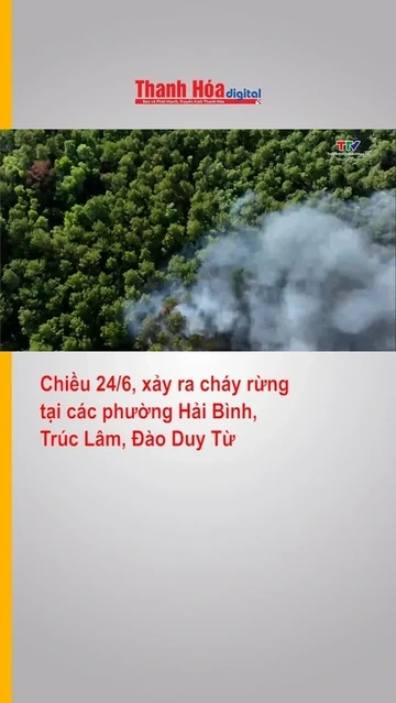 Cháy rừng tại các phường Hải Bình, Trúc Lâm và Đào Duy Từ