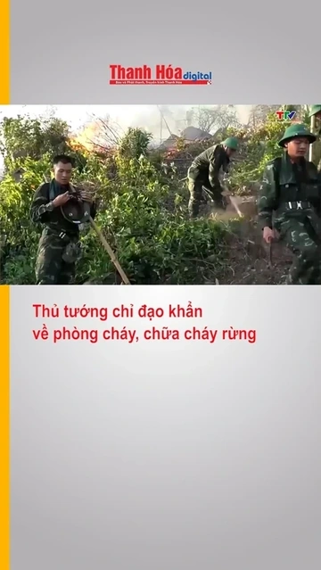 Thủ tướng chỉ đạo khẩn về phòng cháy, chữa cháy rừng
