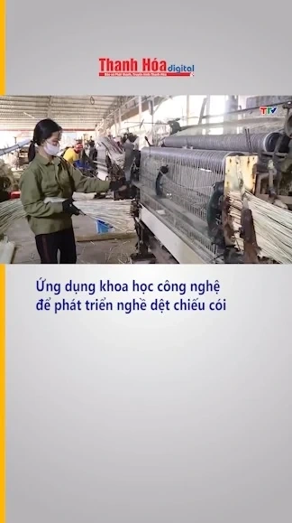 Ứng dụng khoa học công nghệ để phát triển nghề dệt chiếu cói