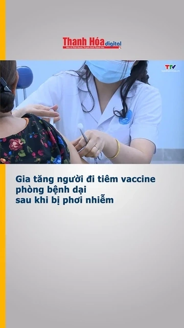 Gia tăng người đi tiêm vaccine phòng bệnh dại sau khi bị phơi nhiễm