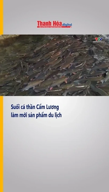 Suối cá thần Cẩm Lương làm mới sản phẩm du lịch
