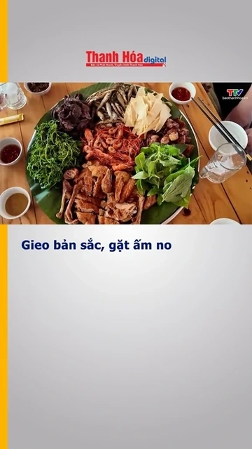 Gieo bản sắc, gặt ấm no