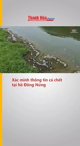Xác minh thông tin cá chết tại hồ Đồng Nửng