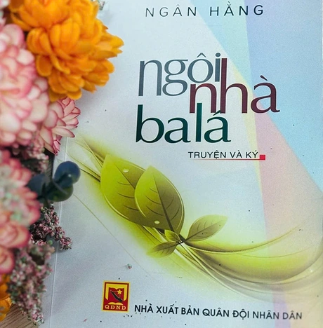 Nhà văn Ngân Hằng và những trang viết về phụ nữ