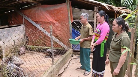 Mở lối sinh kế cho người dân vùng cao từ con nuôi đặc sản
