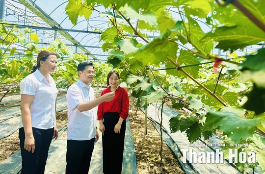 Khai thác hiệu quả tiềm năng, lợi thế để tạo bước phát triển đột phá