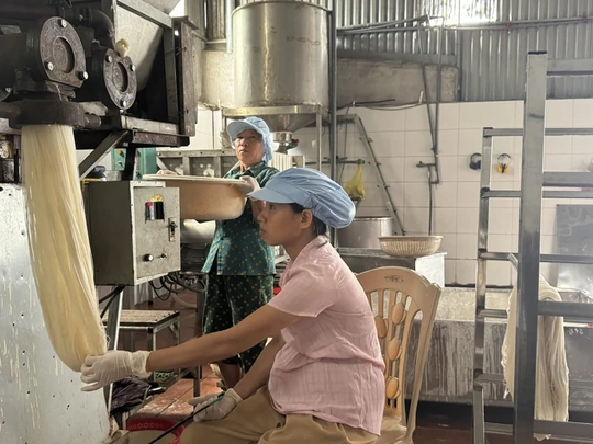 Nghị quyết số 68: Tiếp sức cho phụ nữ phát triển kinh tế tư nhân (Bài 1) - Khi phụ nữ làm chủ