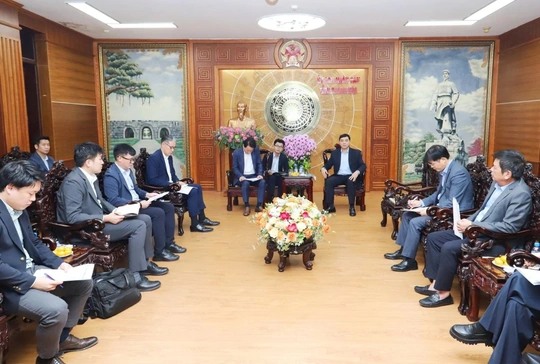 Chủ tịch UBND tỉnh Nguyễn Hoài Anh làm việc với Tập đoàn Sumitomo - Nhật Bản