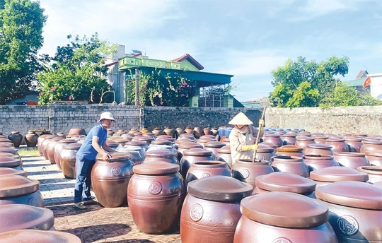 Các HTX đẩy mạnh sản xuất phục vụ thị trường cuối năm