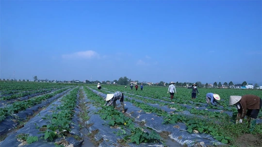 Mở rộng không gian phát triển, “đánh thức” tiềm năng vùng đất Ba Đình