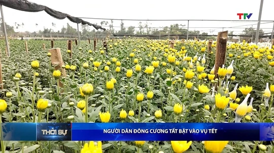 Bản tin Thời sự tối 7/1/2026:&nbsp;Người dân Đông Cương tất bật vào vụ Tết