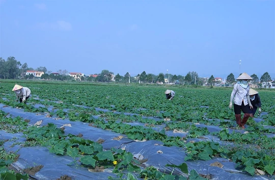 “Quyết tâm gấp mười lần và hành động gấp trăm lần” vì hạnh phúc Nhân dân (Bài 2): Đột phá tư duy - mở đường kiến tạo