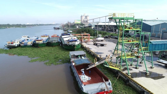 Thúc đẩy hành trình xanh trong canh tác nông nghiệp