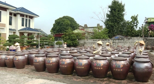 Phát triển sản phẩm OCOP sau đạt chuẩn đáp ứng nhu cầu thị trường