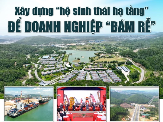 [E-Magazine]: Xây dựng “hệ sinh thái hạ tầng” để doanh nghiệp “bám rễ”