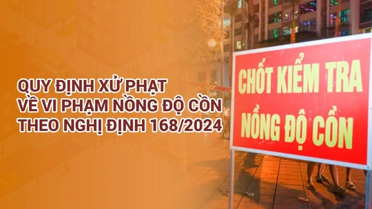 [Infographics] Quy định xử phạt về vi phạm nồng độ cồn theo Nghị định 168/2024
