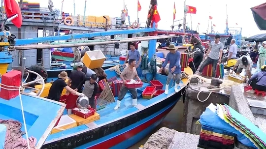 Thanh Hóa ban hành kế hoạch điều tra, đánh giá nghề cá thương phẩm