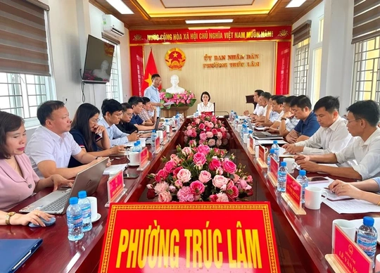 Giám sát thực hiện Nghị quyết số 57 của Bộ Chính trị tại phường Trúc Lâm