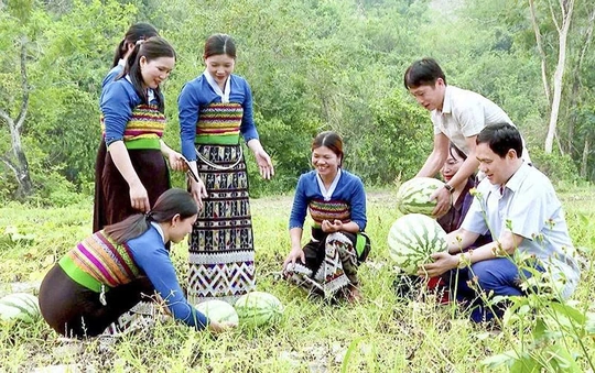 Chủ động thích ứng trước biến động (Bài 3): Giải pháp trước mắt, chiến lược dài hạn đặt ra với ngành nông nghiệp