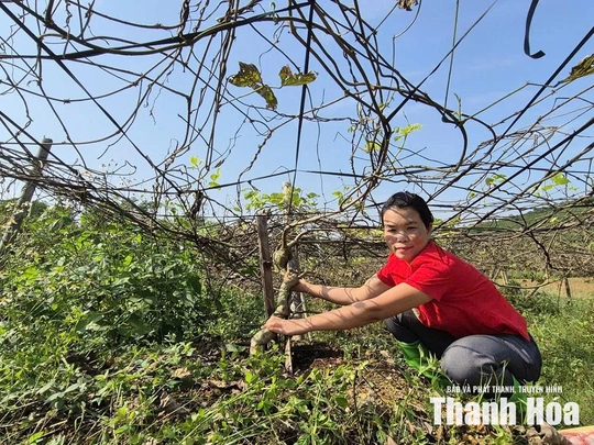 Chuyển đất cằn thành vùng sinh kế