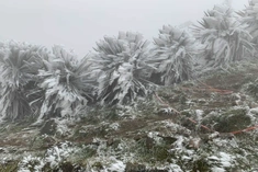 Đêm mai (24/12), không khí lạnh ảnh hưởng tới Thanh Hóa