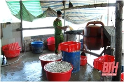 Tạm giữ hơn 3 tạ nội tạng động vật không rõ nguồn gốc