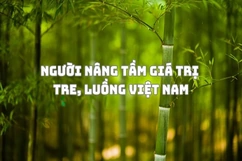 Người nâng tầm giá trị tre, luồng Việt Nam