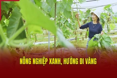 Nông nghiệp xanh, hướng đi vàng