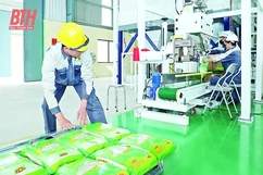 FTA tiếp sức cho hàng hóa vươn tầm