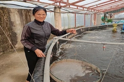 “Chắp cánh” cho những ý tưởng, dự án khởi nghiệp do phụ nữ làm chủ