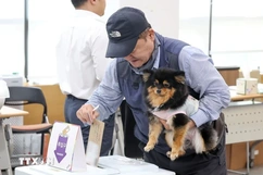 Hàn Quốc ghi nhận tỷ lệ bỏ phiếu sớm bầu cử Tổng thống ở mức cao