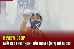 [REVIEW OCOP] Miến gạo Phúc Thịnh - Sợi miến dẻo dai, hương quê đậm đà
