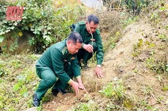 Bảo vệ môi trường đất: Vấn đề cần quan tâm