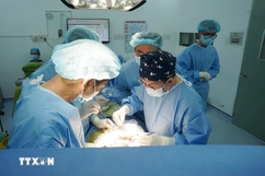 Hoàn thành 7 ca ghép tạng xuyên Việt từ một người chết não