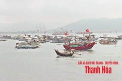 “Văn hóa dân gian biển, đảo xứ Thanh như chất men say ngấm vào đời tôi”...