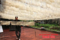 Làm mới sản phẩm OCOP để chiếm lĩnh thị trường
