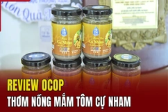 [REVIEW OCOP] Thơm nồng mắm tôm Cự Nham