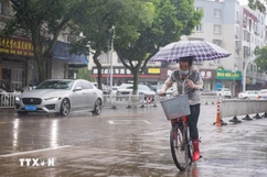 Bão nhiệt đới Comay đổ bộ lần thứ 2 vào Trung Quốc