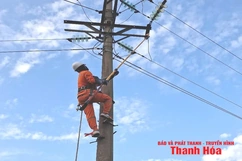 Đội Quản lý điện lực khu vực Ngọc Lặc - Lang Chánh đảm bảo an toàn lưới điện trong mùa mưa, bão