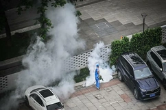 Bộ Y tế khuyến cáo các biện pháp phòng, chống dịch bệnh Chikungunya do muỗi lan truyền