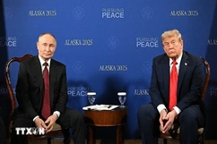 Tổng thống Trump-Putin điện đàm sau cuộc gặp tại Nhà Trắng