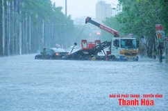 Nhiều tuyến đường bị ngập lụt cục bộ, cây xanh gãy đổ
