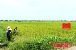 “Chìa khóa” nâng cao năng lực cạnh tranh cho các tổ chức và doanh nghiệp khoa học công nghệ